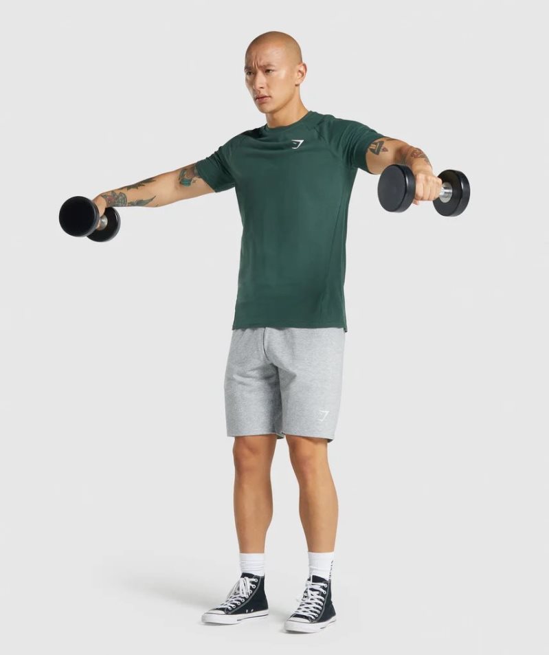 Men's Gymshark Critical 2.0 T-Shirts Dark Green | CA D81NA7